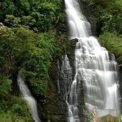 救援卡通老虎